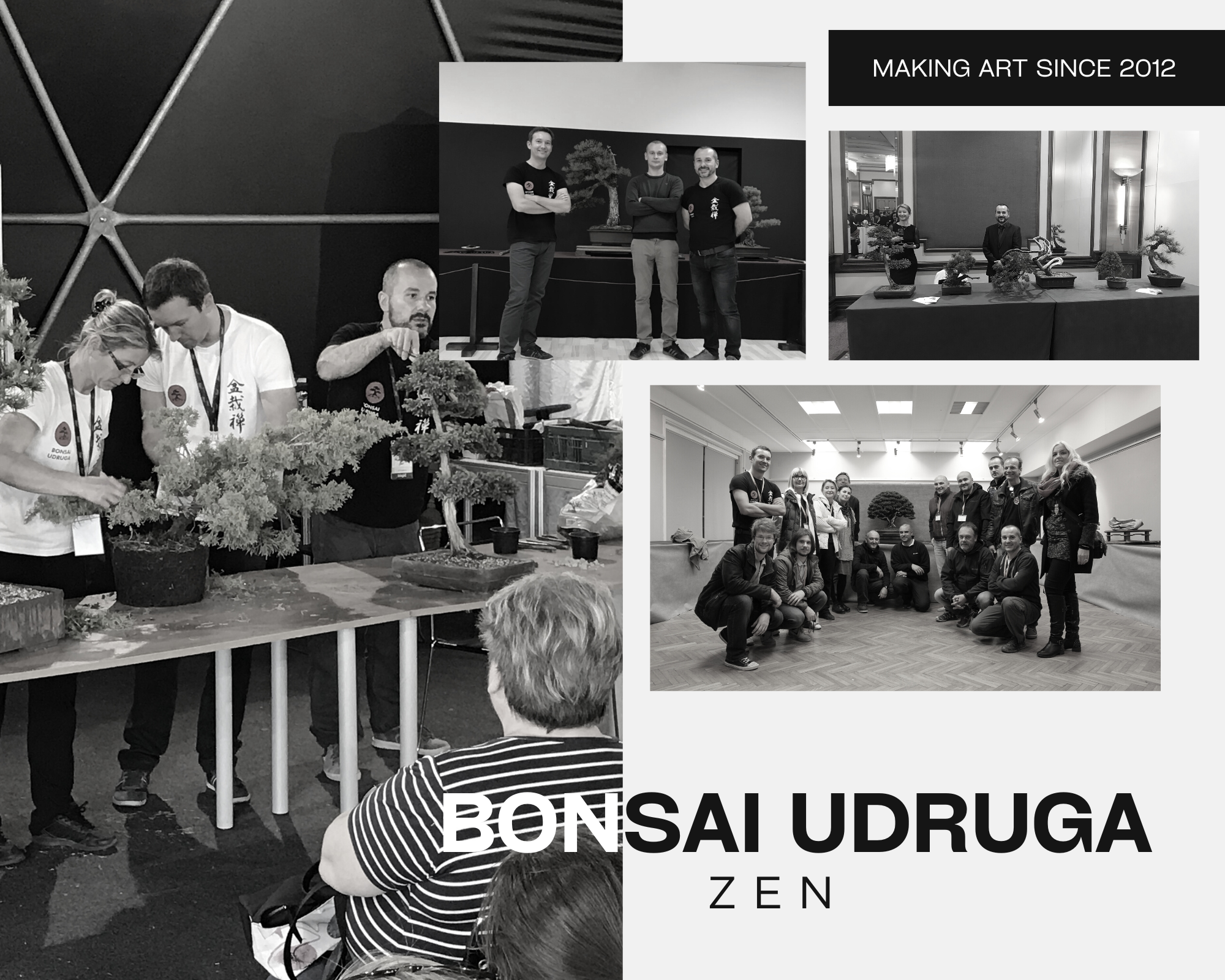 Bonsai udruga Zen — making art since 2012