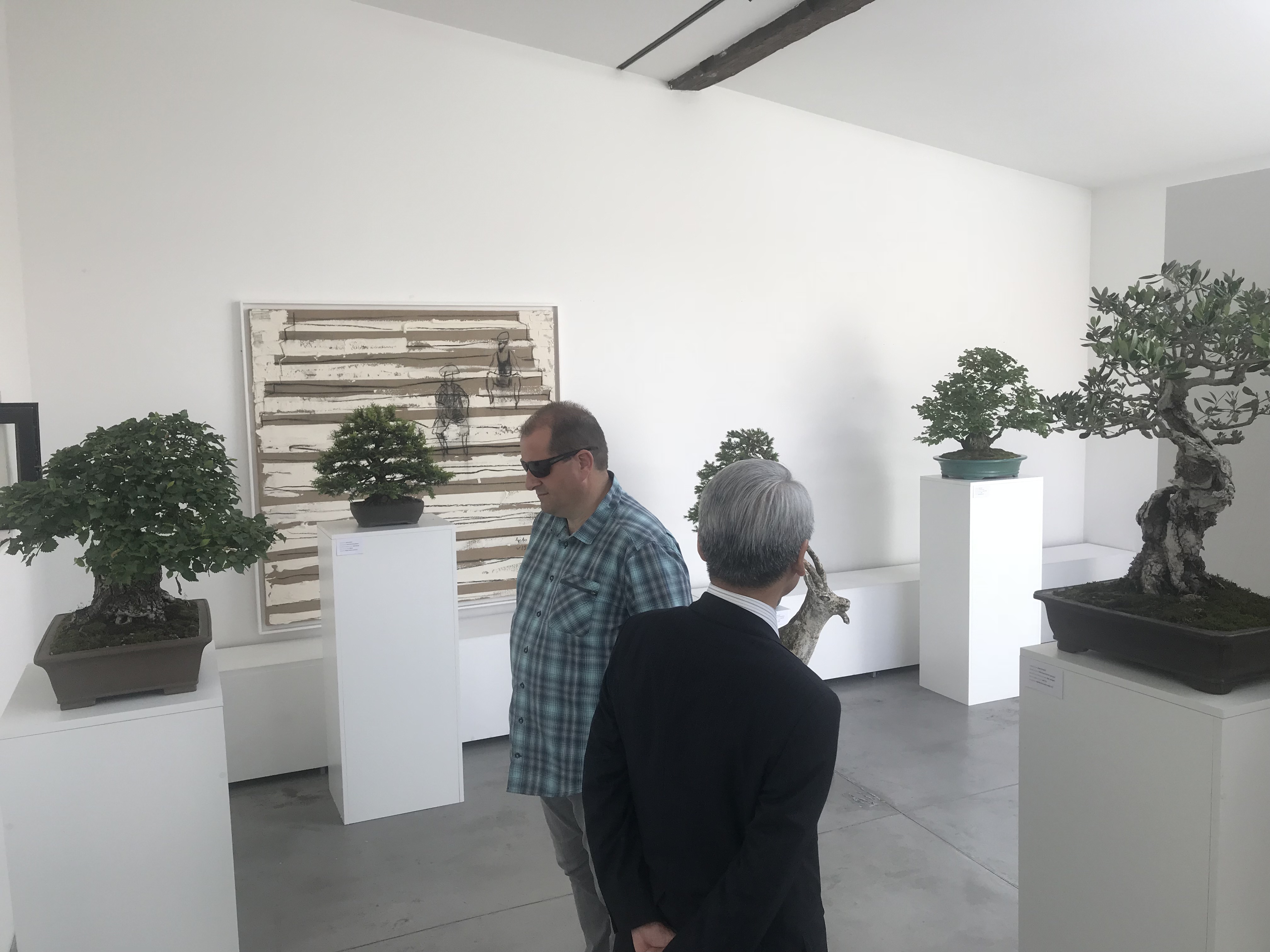 Izložba bonsaija u galerijskom prostoru